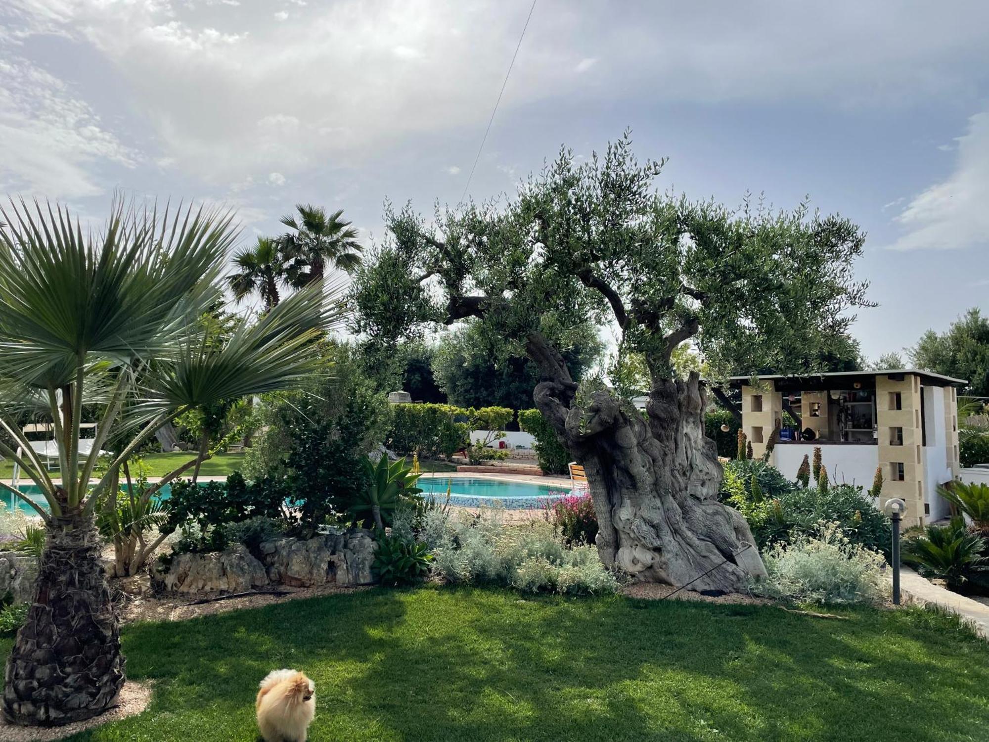 Alla Villa Di Angelo Monopoli Luaran gambar