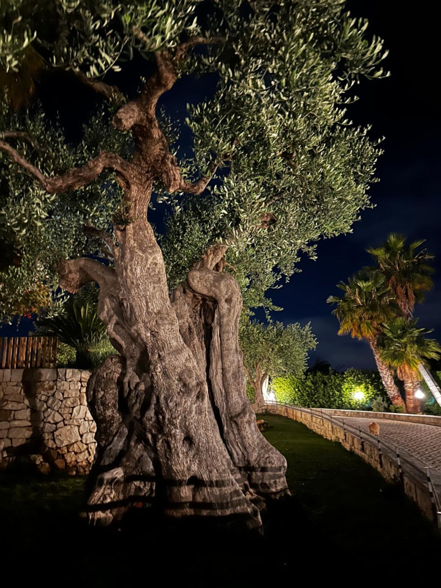 Alla Villa Di Angelo Monopoli Luaran gambar