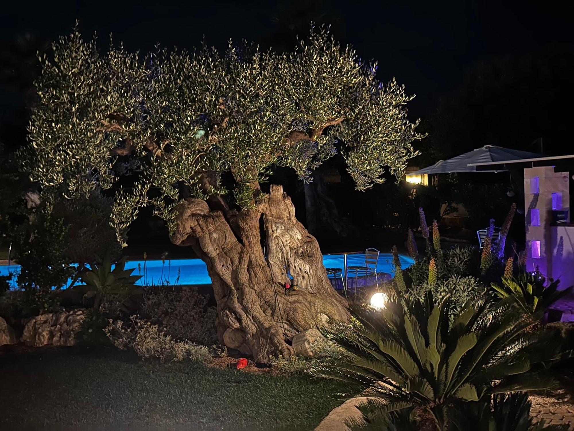 Alla Villa Di Angelo Monopoli Bilik gambar